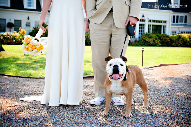 The Inn at Perry Cabin Wedding | Zandi + Zack